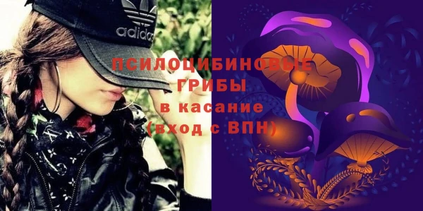 винт Алексин