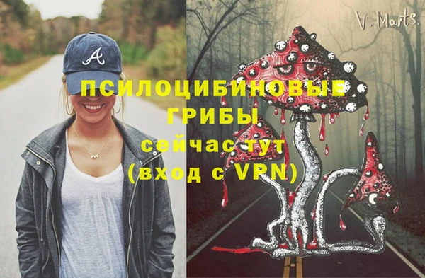 винт Алексин