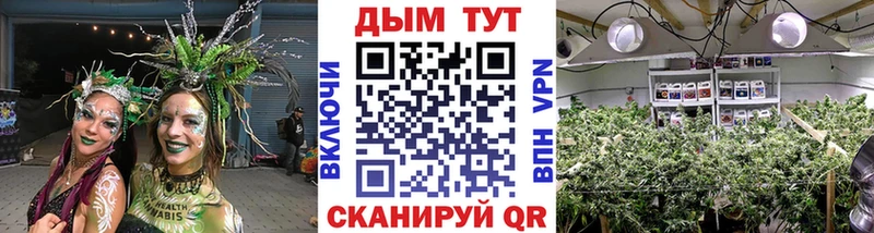 Конопля Ganja Ивангород